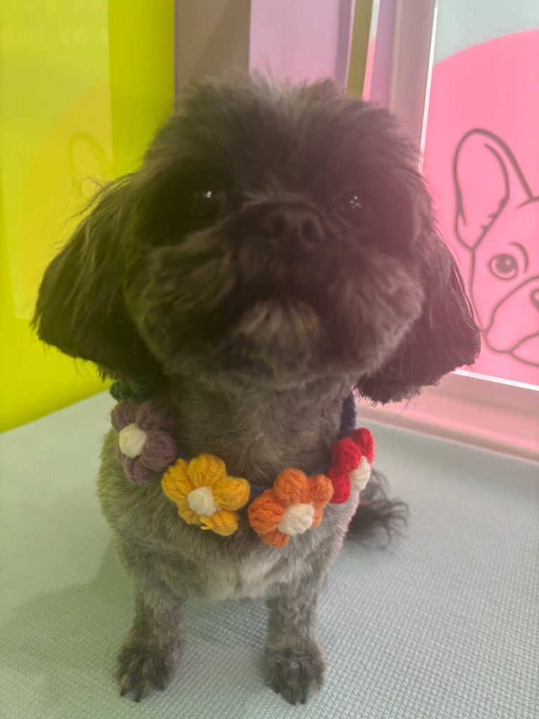 The Barking Lot Professional Dog Grooming Salon