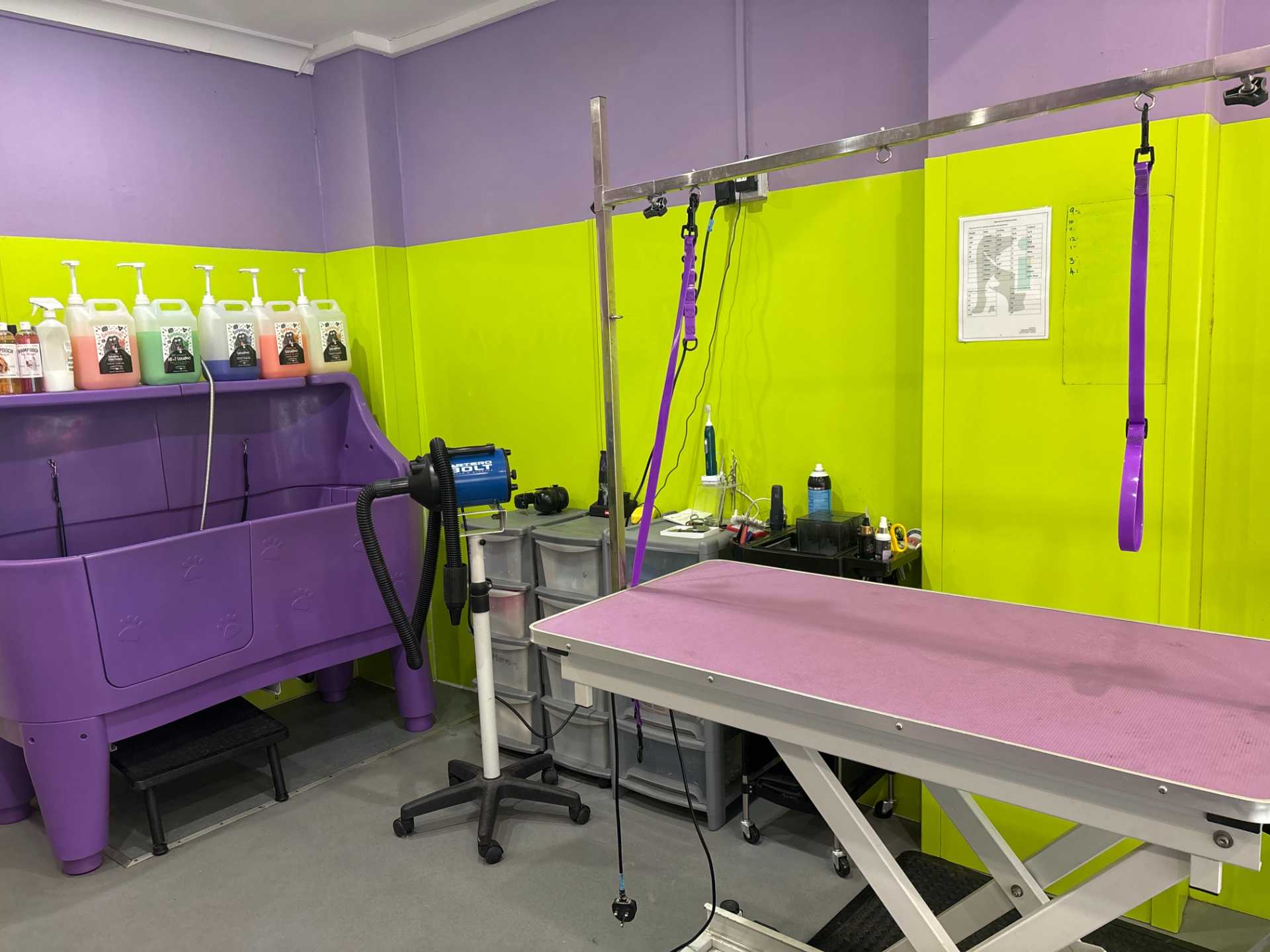 Dog grooming area with equipment